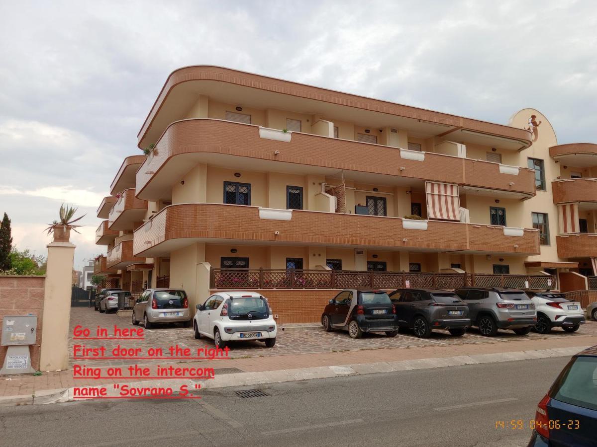 Summer&Winter Home By The Sea Fiumicino Exteriör bild